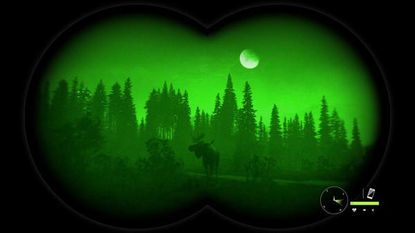 TheHunter: Call Of The Wild - Greenhorn حزمة ستيم حساب