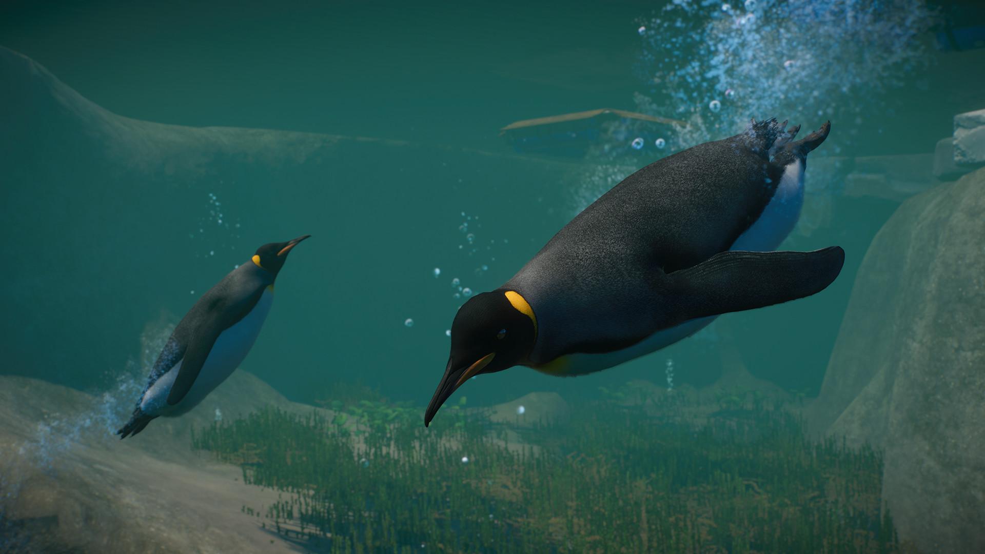 Planet Zoo + Aquatic + Arctic + North America Animal DLCs اوروبي ستيم كود رقمي