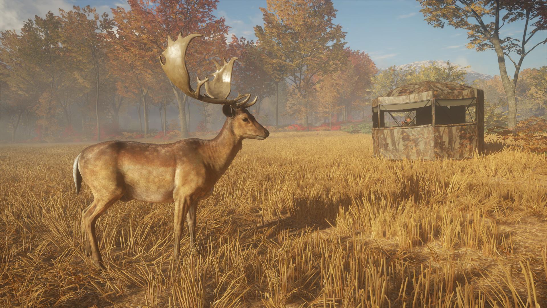 TheHunter: Call Of The Wild - Seasoned Hunter حزمة ستيم كود رقمي