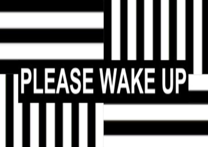 Please Wake Up ستيم كود رقمي